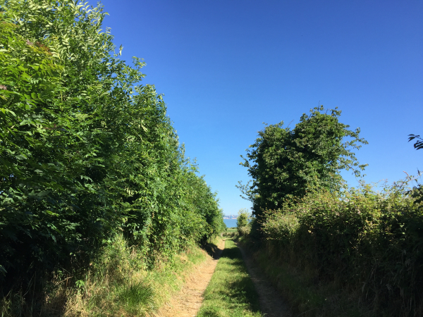 Chemin Pilon en direction de la plage de Pennedepie.