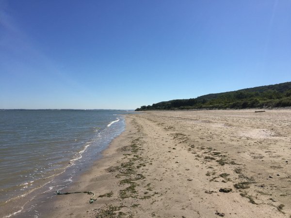 La plage de Pennedepie, à éviter un après-midi au mois d'août...