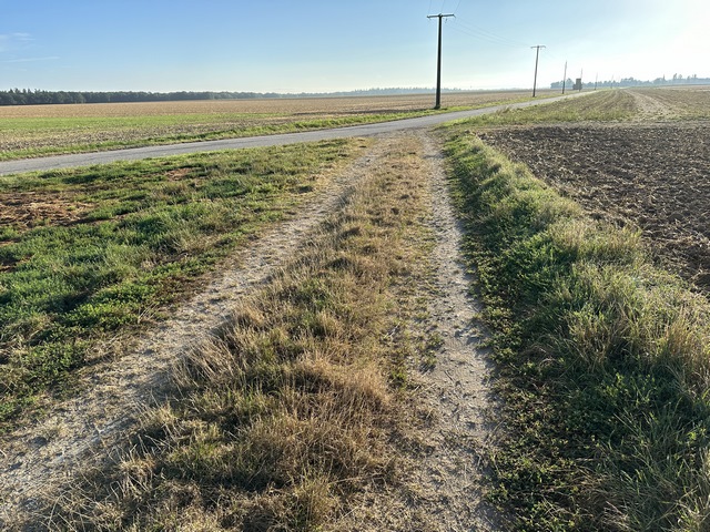 Après le bois des Boquets, nous tournons vers l'est et rejoignons la route de Feuguerolles (déserte) que nous allons suivre sur 600 mètres.