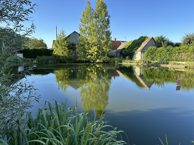 A Feuguerolles, nous suivons la rue du Merisier au Duc et longeons la Mare En Ville.