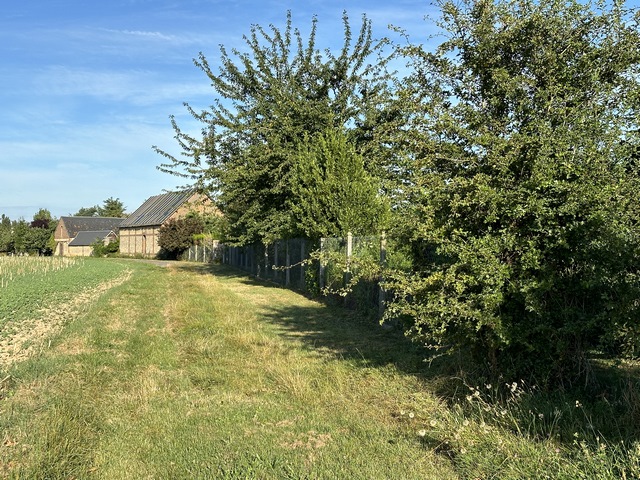 Nous sommes maintenant sur le chemin des Forières au sud de Feuguerolles.