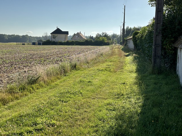 Nous retrouvons rapidement les chemins, avec ici le chemin de la Feugle qui se dirige droit vers le bois des Terriers.
