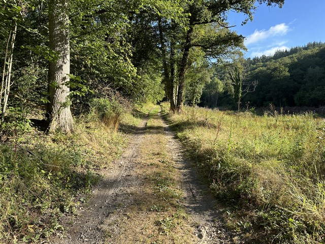 Nous avons rejoint le GR26, nous le suivrons jusqu'à St-Aubin-d'Ecrosville.