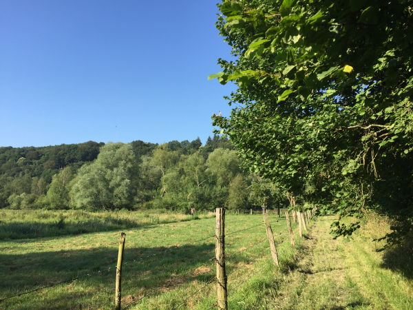 Nous traversons la vallée du Bec en suivant ce joli chemin qui n'existe pas sur la carte.