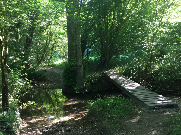 Voilà le premier passage sur la rivière !