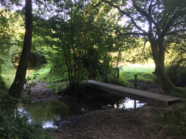 La deuxième passerelle et son gué ne sont pas très loin. Nous allons monter à gauche en direction du Chemin du Triage des Bois.