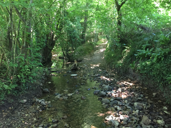 Et voilà notre quatrième gué ! Pas de passerelle ici, le ruisseau s'étale sur un large lit pierreux. Il nous reste à boucler le circuit par la route d'Epaignes.