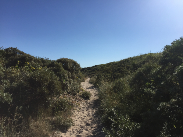 Nous suivons le GR120. Il est assez peu balisé, faute de supports, mais le chemin est évident.