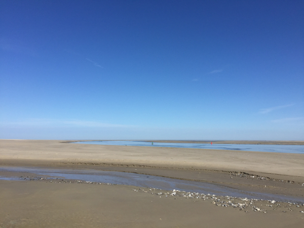 Nous sommes arrivés à la Pointe du Hourdel. Les paysages sont fascinants. Bien sûr, nous cherchons les phoques des yeux. Nous en verrons sur des bancs de sable ou dans l'eau, mais trop éloignés pour le photographe. On les voit un peu mieux sur la vidéo.
