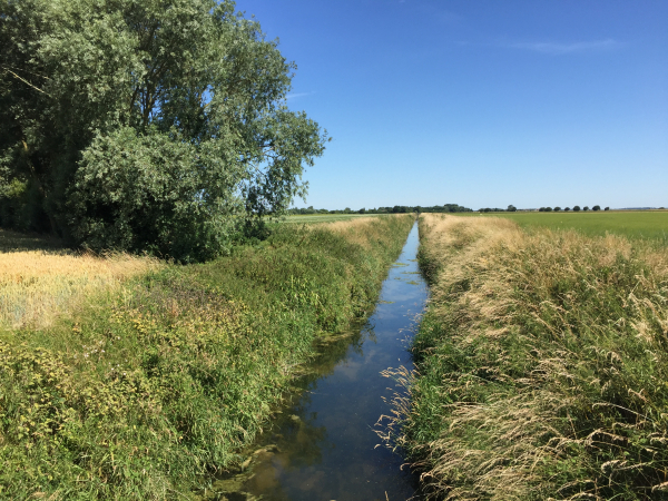 Nous traversons le canal de Lanchères. Les canaux et les cours d'eau sont nombreux ici, ils drainent les marais, et reliaient les différentes parties de la baie.