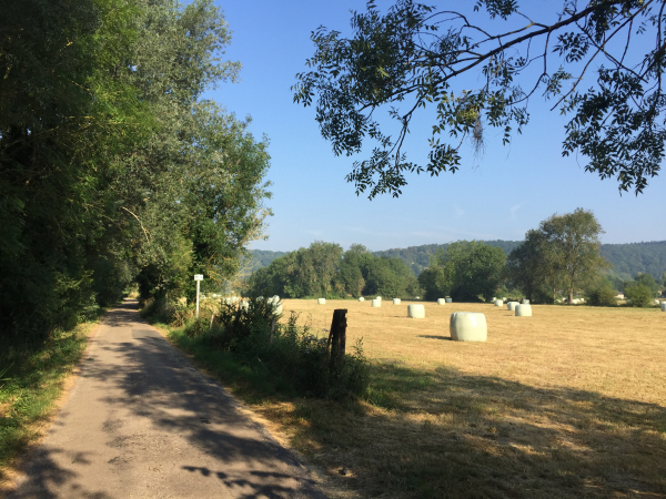 Nous prenons le Chemin des Marais en direction de la Seine.