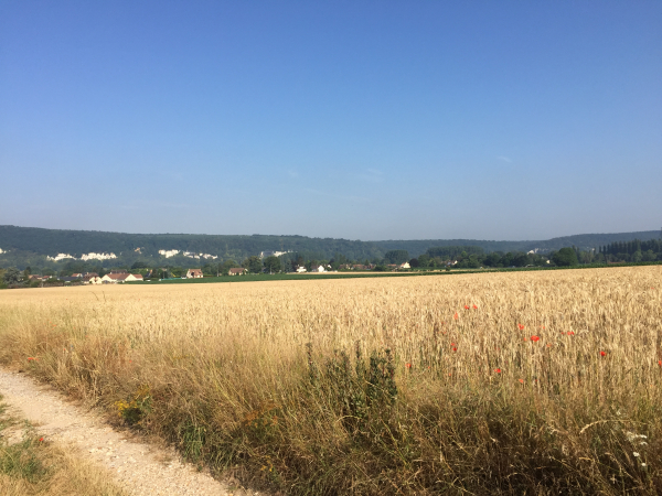Nous avons quitté le Chemin de Halage, et montons le chemin Mazé. Regard arrière sur la vallée de la Seine.