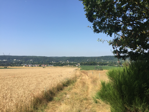 Le Chemin de la Ville nous descend tranquillement vers notre point de départ.
