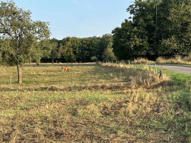 Nous contournons l'école de Bérengeville-la-campagne et prenons la direction du nord, vers la forêt de la Hêtraie.