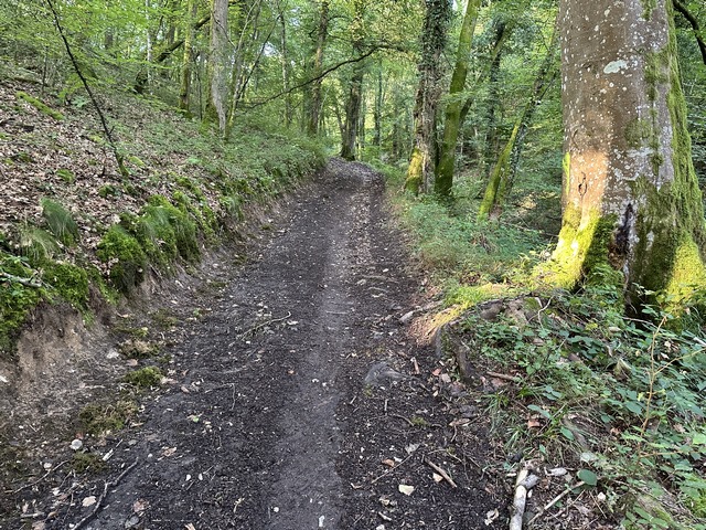 Nous avons quitté le GR26 pour monter la Petite Vallée en direction de Platemare.