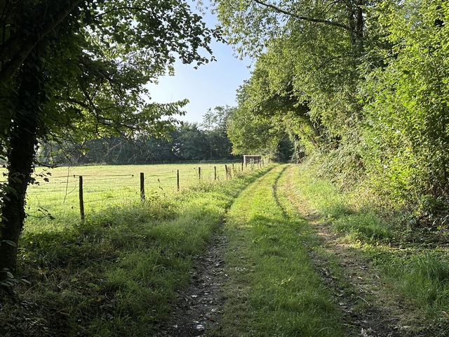 Sur le plateau, nous quittons les bois pour entrer dans le hameau de Platemare.