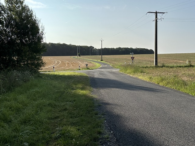 Nous traversons la D61 en direction du bois que l'on voit en face.
