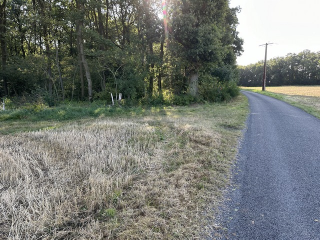 Avant d'atteindre le hameau des Collets, nous tournons ici à gauche pour suivre ce chemin qui entre dans le bois de Brosville.