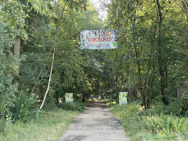 Nous aurions pu entrer dans le bois par le chemin de la Vallée de Longuemare, mais nous avons préféré traverser l'AcroForest, dont les installations s'étoffent d'année en année.