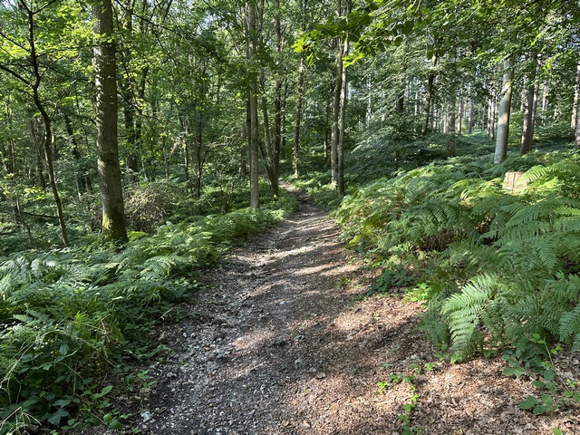 Nous suivons le GR222 vers le sud. Le chemin descend dans la vallée de l'Iton.