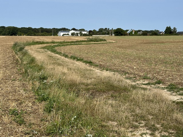 Au sommet, les bois laissent la place à la plaine agricole où notre chemin serpente vers Bérengeville.