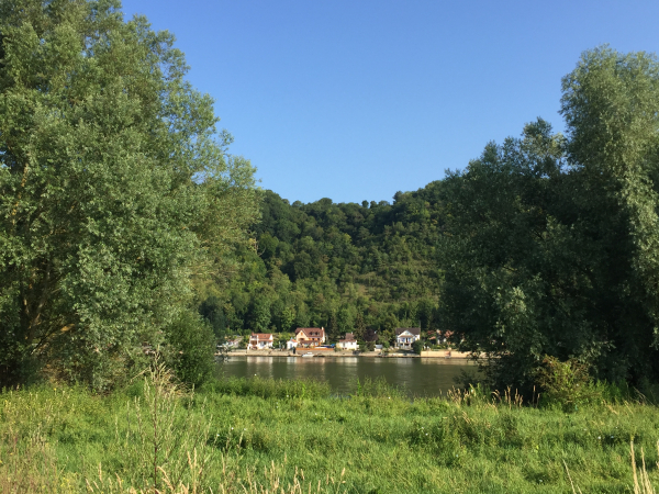 Une trouée nous permet d'apercevoir les maisons en bord de Seine, sur l'autre rive, à la Roquette.