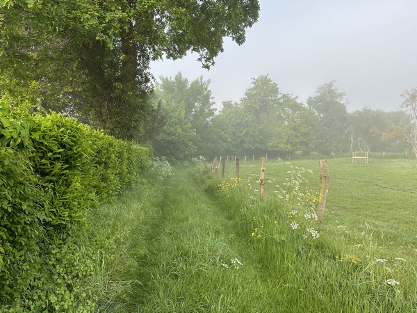 Un charmant chemin relie la rue de Marbeuf au bord de Seine.