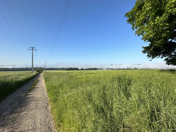 Allée du Canada, regard arrière vers la vallée de la Seine.