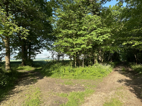 Nous arrivons sur le GR2, nous allons continuer en lisière, en face.