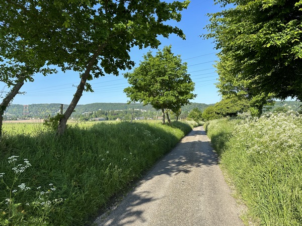 La route forestière s'appelle ici la rue Chiquet, et descend droit vers la vallée de la Seine.