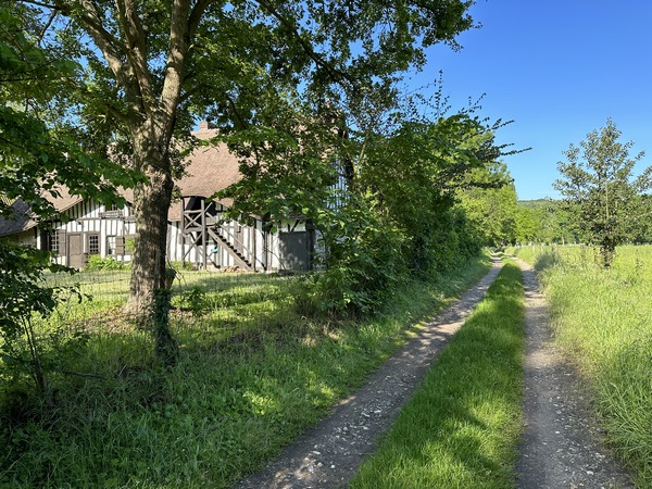 Nous continuons sur le chemin du Billois. On ne peut plus le photographier à cause de la haie, mais un peu plus loin, à gauche du chemin, on peut distinguer un four à pain.
