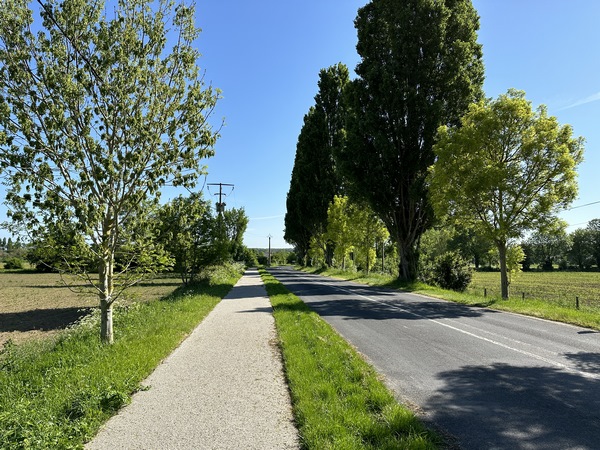 Au niveau du bac de Sahurs - la Bouille, nous suivons la piste cyclable en direction de Sahurs.