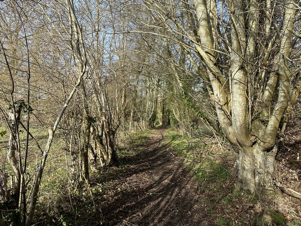 Voilà le charmant chemin de l'Enfer, à St-Amand-des-Hautes-Terres.
