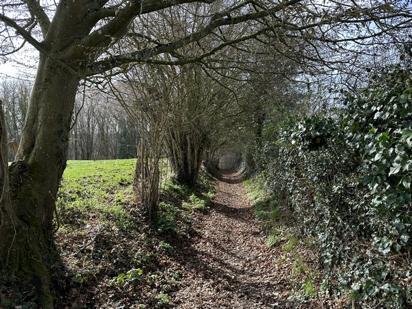 Nous descendons, à nouveau, vers la vallée de l'Oison, sur le chemin frontière entre le Bosc-Féré et St-Pierre-des-Fleurs.