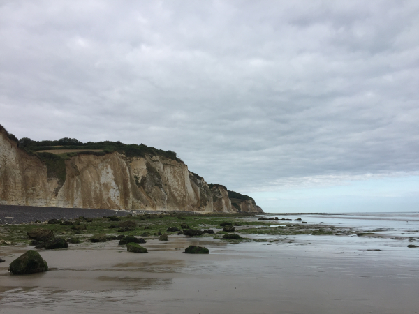 Nous partons de la plage de Pourville, commune de Hautot-sur-Mer, deux heures avant la basse mer. Nous avons donc une large marge de sécurité pour marcher sur le platier en direction de Ste-Marguerite-sur-mer. Les paysages sont hors-normes, n'oubliez pas de regarder la vidéo !