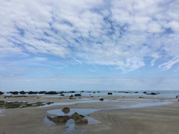 A proximité de Sainte-Marguerite, la marée basse a découvert les rochers qui hérissent la côte.