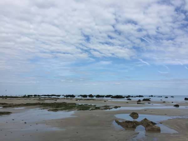A proximité de Sainte-Marguerite, la marée basse a découvert les rochers qui hérissent la côte.