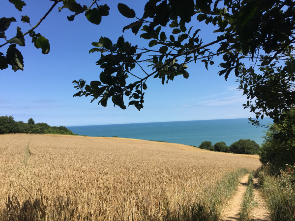 Nous avons quitté le GR21 dans le bois des Saules, pour suivre le chemin du Hamelet et celui de Mordal, beaucoup plus beaux.
