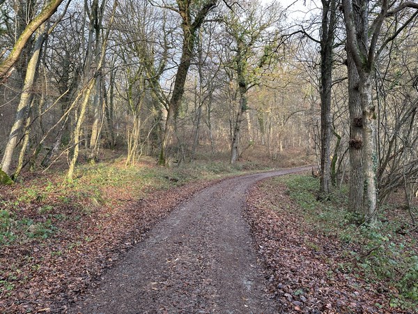 Je continue sur le Chemin des Fosses.