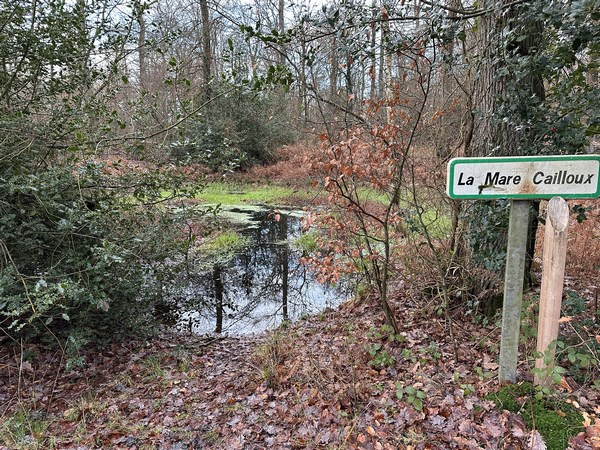Sur le plateau, le chemin longe la Mare Cailloux.