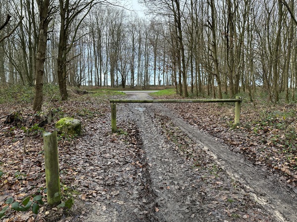 Je vais traverser la D81, et continuer en face.