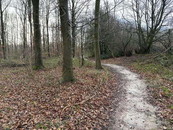 Le Chemin du Faîte domine le Ravin de la Vacherie. Je vais traverser à nouveau la D81 et fermer la boucle.