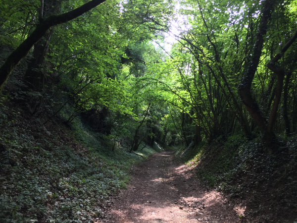 Nous quittons la colline par la vallée des Roches.