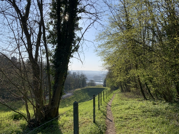 Nous n'avons pas retrouvé le Sentier Balcon qui permettait de longer Canteleu en restant dans le bois. Nous sommes donc passés parmi les immeubles, mais nous retrouvons les chemins après la Côte de Croisset.