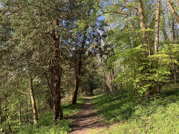 Nous avons rejoint le somptueux chemin de La Barquette qui va nous conduire jusqu'à la forêt de Roumare.
