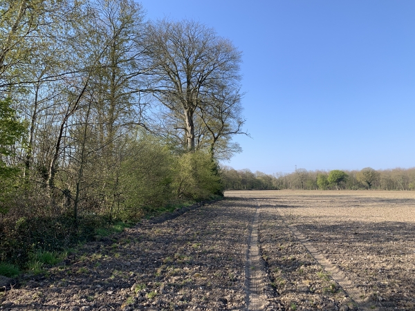 Le chemin de La Barquette, bien présent sur la carte, disparait ici sous le labour. Ca ne nous empêche pas de le suivre, mais quand le maïs sera haut, il faudra passer par la D351...