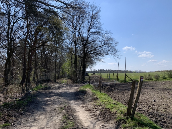 Comme l'indique la flèche à droite, nous allons nous éloigner de la forêt pour descendre vers la vallée de la Seine.
