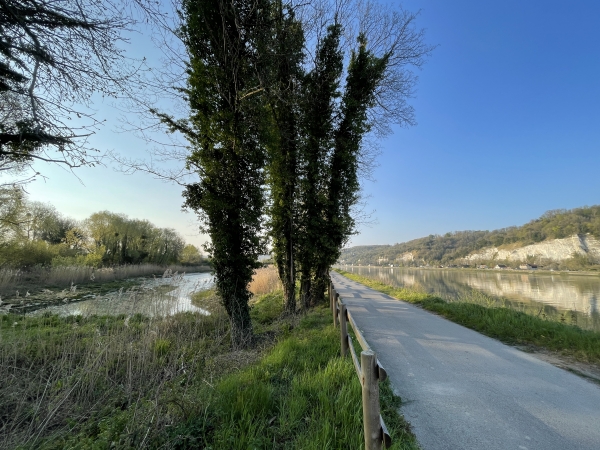 A gauche du chemin de halage, on voit ici le marais des Petits Saules. Ce marais a été restauré par le Port de Rouen. La vasière principale est reliée à la Seine, et son niveau suit celui du fleuve. Deux mares plus petites sont indépendantes et abritent la faune des eaux stagnantes.