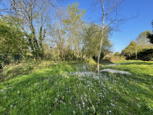 Mare en bordure de l'Allée des Châteaux.