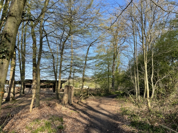 Nous arrivons à Caumont.